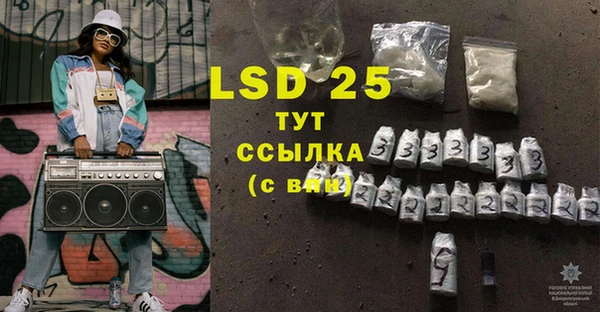 сатива Вяземский