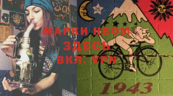 сатива Вяземский