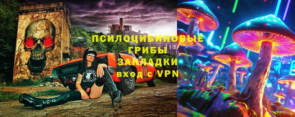сатива Вяземский