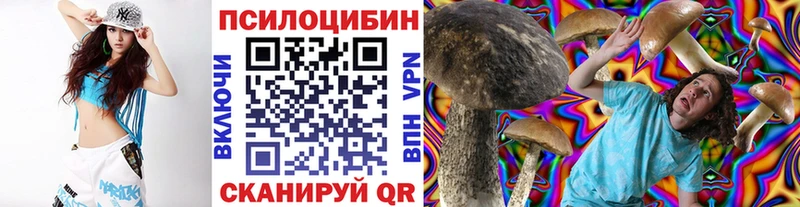 Псилоцибиновые грибы прущие грибы  Заречный 